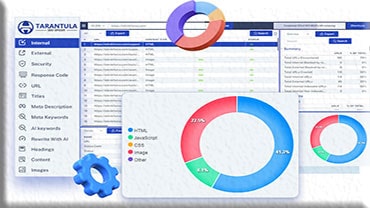 Complete SEO Site Audit