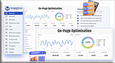 Detects On-page Optimization Issues